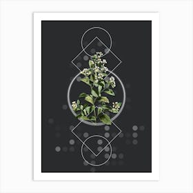 Vintage Eastern Baccharis Botanical with Geometric Line Motif and Dot Pattern n.0150 Art Print
