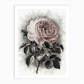 ِAbstract Rose Art Print