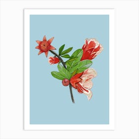 Pomegranate Flowers Art Print