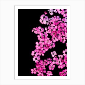 Flower Carpet Art Print