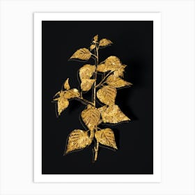 Vintage Black Birch Botanical in Gold on Black n.0114 Art Print