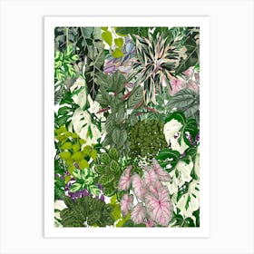 House Plants Jungle 3 Art Print