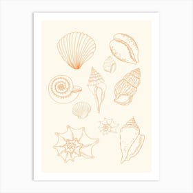 Shells Line Drawing Poster Art Print