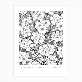 Phlox B&W Vintage Botanical Poster Art Print