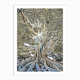 Tree Oak Growth Nature Art Print