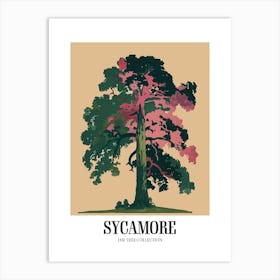Sycamore Tree Colourful Illustration 2 Poster Art Print