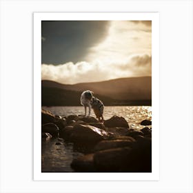 Australian Shepherd On Rocks- Scotland Highland UK dog photo print - moody animal photography Art Print