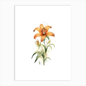 Orange Lily Art Print