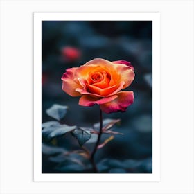 Orange Rose 19 Art Print