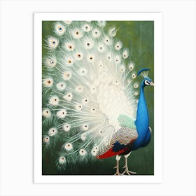 Peacock - Peacock Art Print