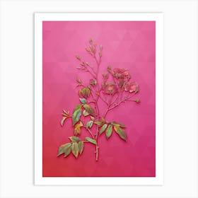 Vintage Pink Noisette Roses Botanical Art on Beetroot Purple Art Print