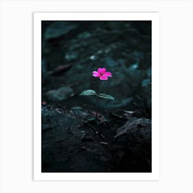 Pink Flower 12 Art Print