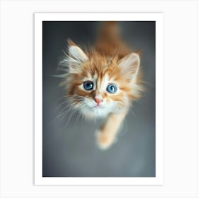 Kitten With Blue Eyes Art Print