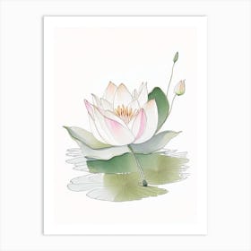 Blooming Lotus Flower In Pond Pencil Illustration 1 Art Print