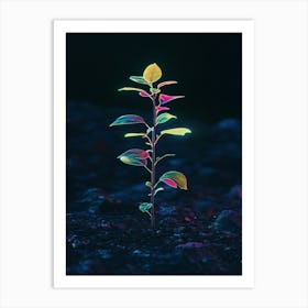 Plant Growing Out Of The Ground 1 Art Print