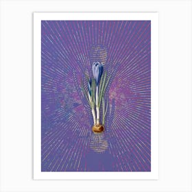 Vintage Spring Crocus Botanical Illustration on Veri Peri n.0020 Art Print