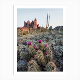 Dark Purple Cactus Flowers Art Print