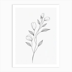 Simple Drawing Of A Flower Art Print