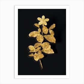 Vintage Gardenia Botanical in Gold on Black n.0448 Art Print