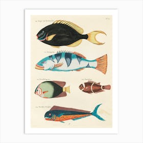 Colourful And Surreal Illustrations Of Fishes Found In Moluccas (Indonesia) And The East Indies, Louis Renard(22) Art Print