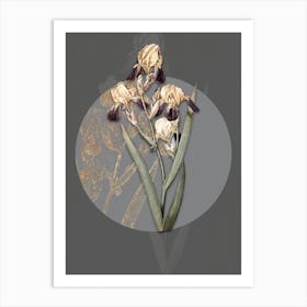 Vintage Botanical Elder Scented Iris on Circle Gray on Gray n.0184 Art Print