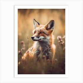 Young Fox Art Print