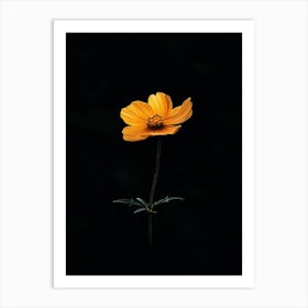 Single Flower 9 Art Print