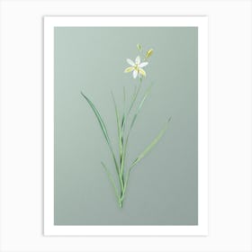 Vintage Ixia Anemonae Flora Botanical Art on Mint Green n.0304 Art Print