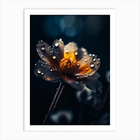 Raindrops On A Flower 3 Art Print