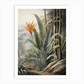 Vintage Jungle Botanical Illustration Bird Of Paradise 3 Art Print