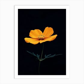 Single Yellow Flower 6 Art Print