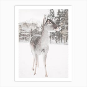 Gray Winter Deer Art Print