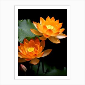 Lotus Flower 2 Art Print