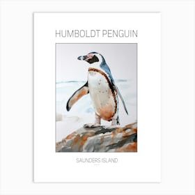 Humboldt Penguin Saunders Island Watercolour Painting 1 Poster Art Print