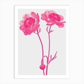 Hot Pink Scabiosa Art Print