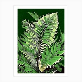 Lady Fern 2 Vintage Botanical Poster Art Print