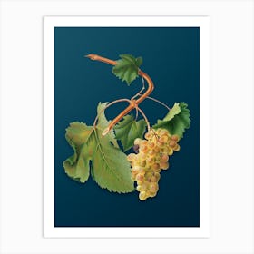 Vintage Vermentino Grapes Botanical Art on Teal Blue Art Print