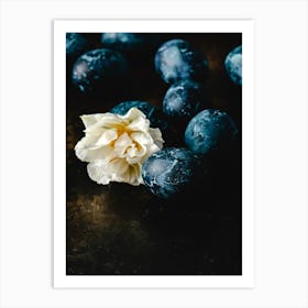 Blue Eggs And White Flower Art Print