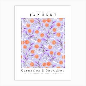 January Brith Flower Carnations & Snowdrop Art Print