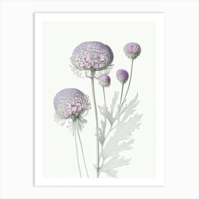 Scabiosa Floral Quentin Blake Inspired Illustration 4 Flower Art Print