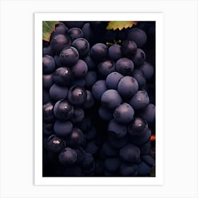 Black Grapes 5 Art Print