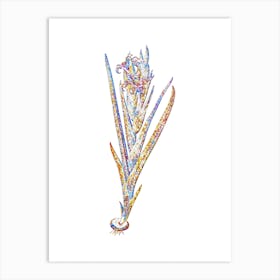 Stained Glass Ferraria Mosaic Botanical Illustration on White n.0262 Art Print