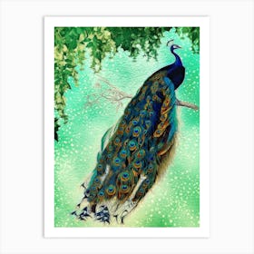 Vintage Peacock Plumage bird Art Print