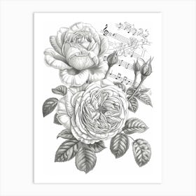 Rose Musical Line Drawing 1 Art Print