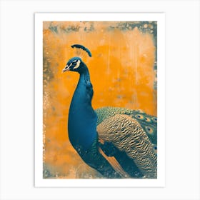 Blue & Orange Vintage Peacock Portrait Art Print