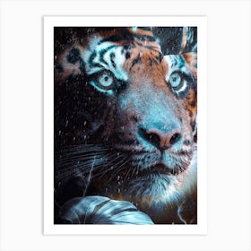 Blue Eyed Tiger In The Rain Art Print