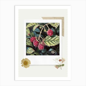 Scrapbook Raspberries Fairycore Painting 1 Art Print