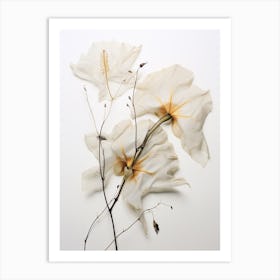 Pressed Flower Botanical Art Moonflower 1 Art Print