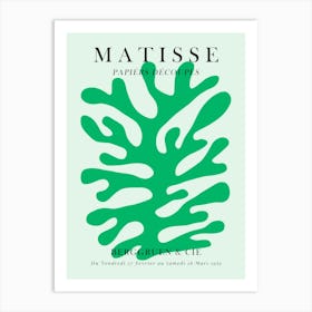 Floral matisse 2 Art Print