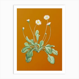 Vintage Daisy Flowers Botanical on Sunset Orange n.0914 Art Print